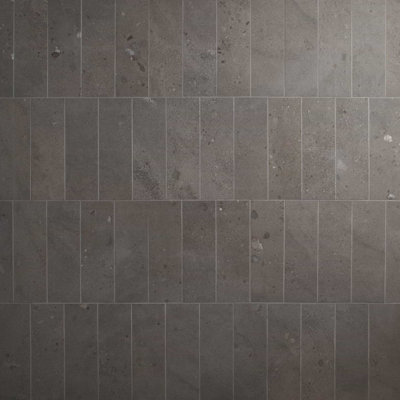 Valenti Petite  3.86 In. X 11.88 In. Terrazzo Look Matte Porcelain Floor And Wall Tile (9.41 Sq. Ft. / Case)