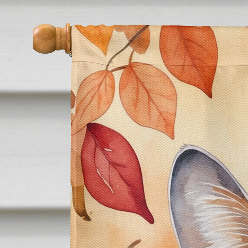 Chat en feuilles d'automne, Safari