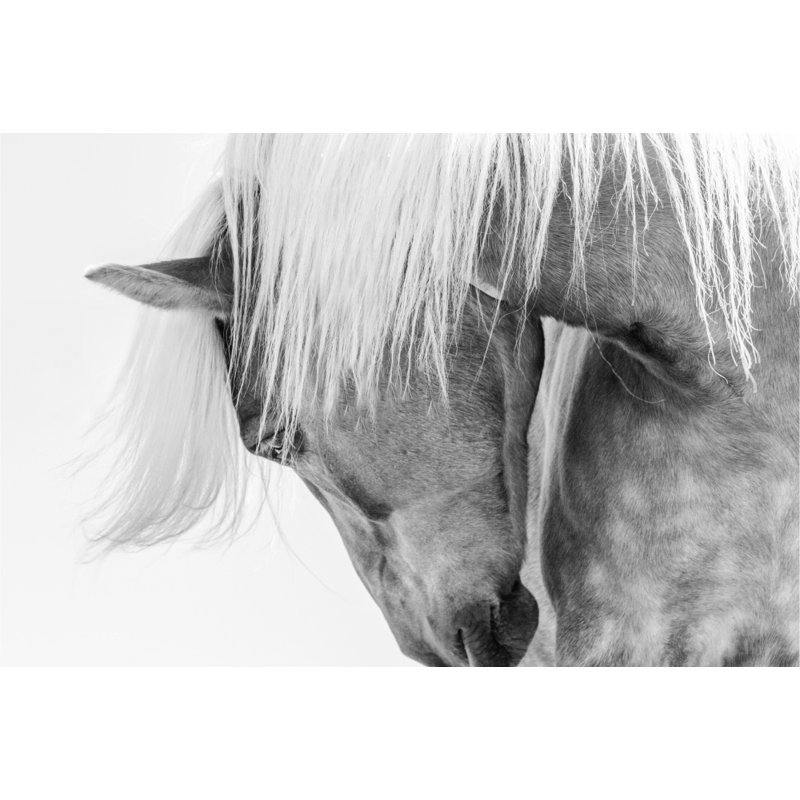 Wrapped Canvas Print, 50.8 cm H x 76.2 cm W