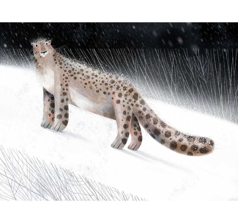 Wrapped Canvas Print, 50.8 cm H x 76.2 cm W