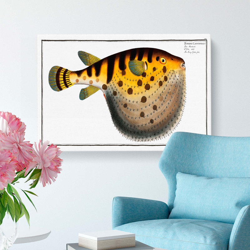 Pufferfish by M.E. Bloch - Wrapped Canvas, 35cm H x 50cm W x 3cm D