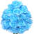 Bleu pâle est en rupture de stock