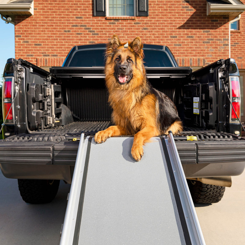 PetSafe Happy Ride Extra Long Telescoping Dog Ramp, 4" H x 20" W x 87" L