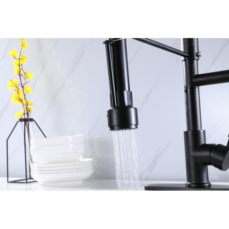 Wonderland America Pull Down Kitchen Faucet, Matt Black