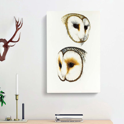 Illustration Of Two Owls by John Gould - Wrapped Canvas Painting