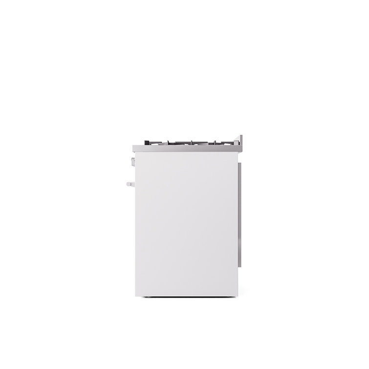 ILVE Professional Plus II 30 in Dual Fuel Range
