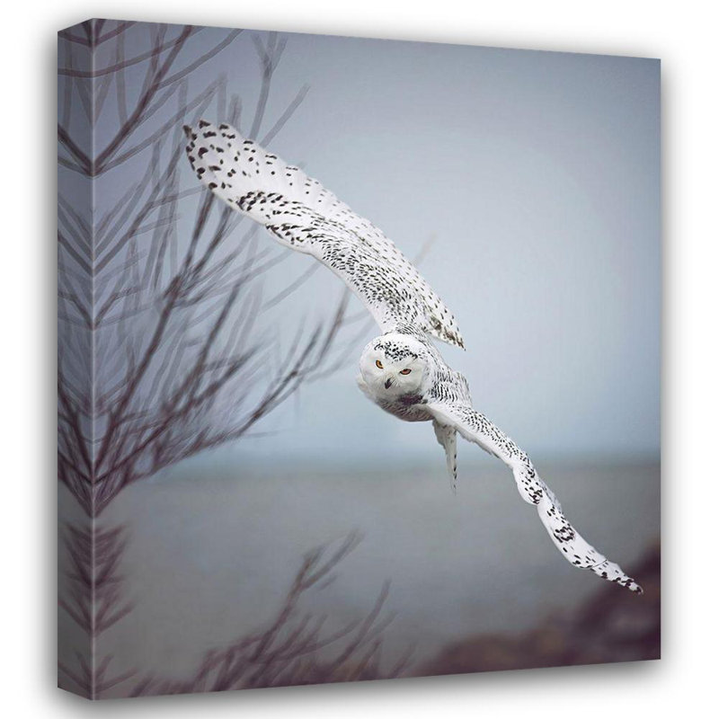 «Milly Pines Grippo, Pike, Carrie Ann», art sur toile tendue sous le titre: Harfang des neiges en vol G2222D