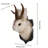 Rabbit Head Wall Mount, Animal Head Wall Decor, 2Pcs
