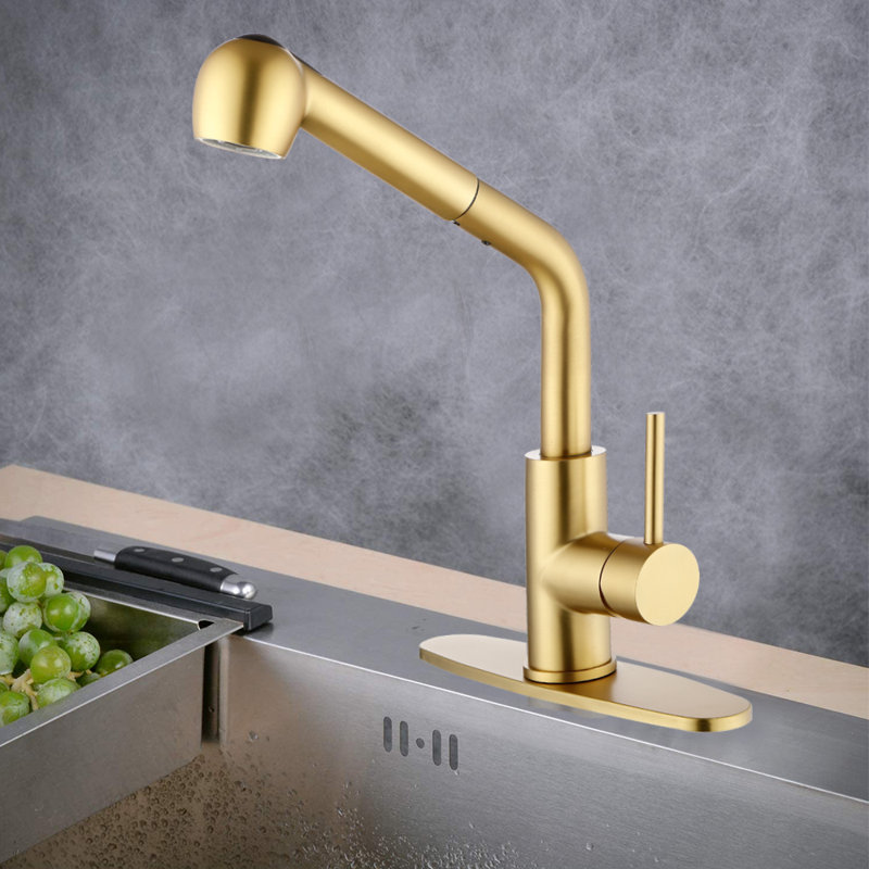 FB WERFY Pull Out Kitchen Faucet, Brushed  Gold