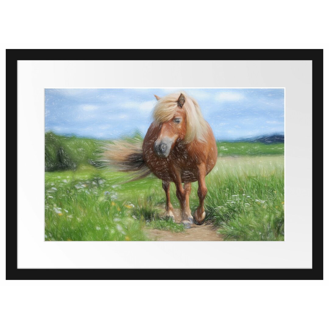 Gerahmtes Poster Shetlandpony auf der Wiese