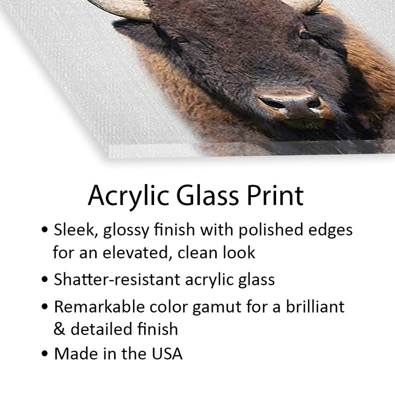 Buffle imprimé sur verre acrylique, H 24 po x l 24 po x P 0,25 po