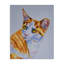 Toile d’expression de chat orange, conception de Tatiana Roberts-1827515173