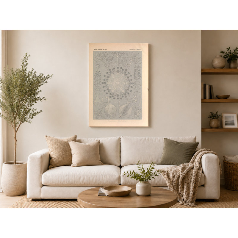 Art textuel sur toile, "Tafel 61 - Phaeodaria" (1904), 18" W x 12" H