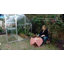 Hybrid 6 Ft W x 6 Ft D Greenhouse-24797289