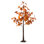 Maple Tree