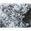 Tapis gris à rayures Mitzy-1148723185