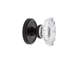 Grandeur Georgetown Rosette Single Dummy with Biarritz Crystal Door Knob-1660274023