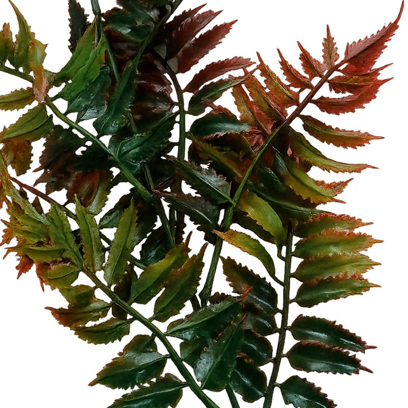 50 cm H Faux Plant, 1