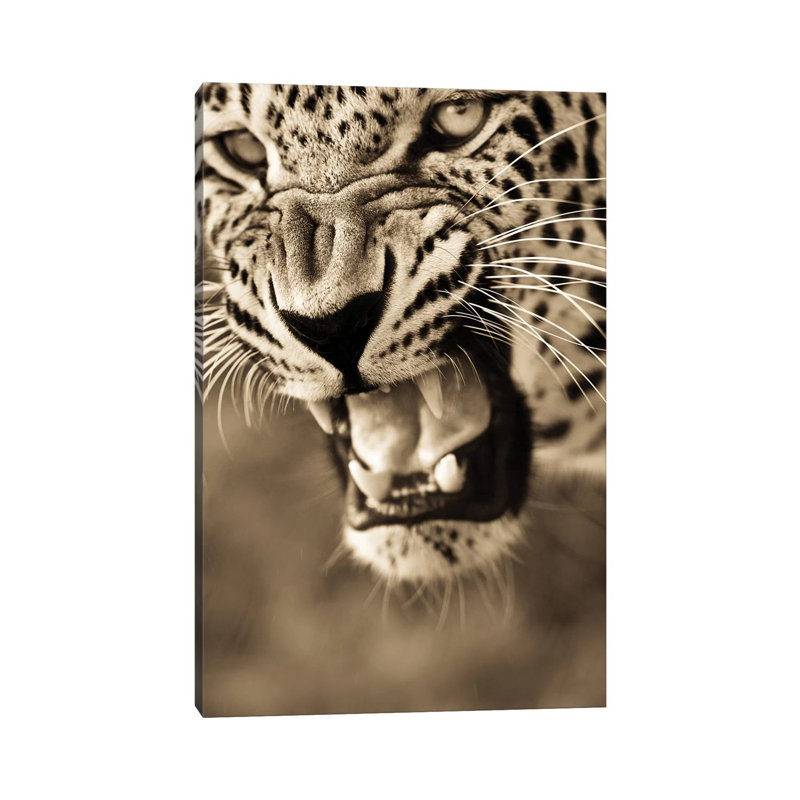 Leopard VIII by Goran Anastasovski - Wrapped Canvas Print, 20.32 cm H x 30.48 cm W