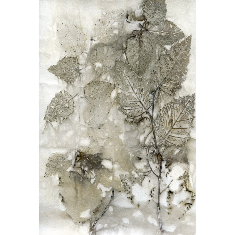 Birch Leaves I by Kathryn Phillips - Wrapped Canvas Painting, 46cm H x 30cm W