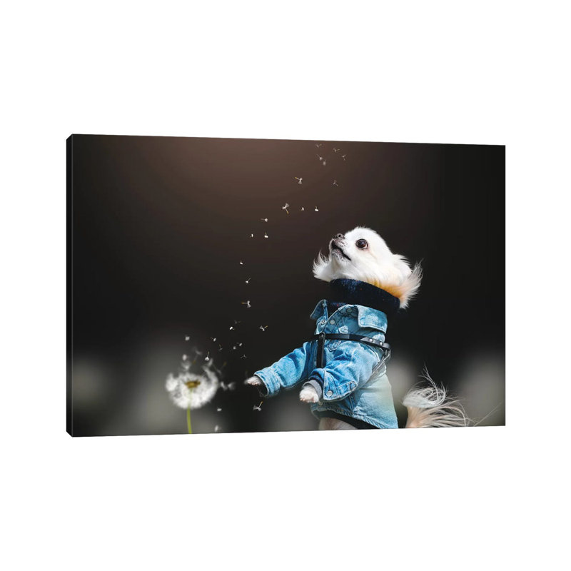 Fluffy by Lienjp - Wrapped Canvas Print, 101.6 cm H x 66.04 cm W x 1.91 cm D