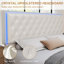 Diamond Button Tufted Bed Frame with LED Headboard Footboard & 2 Drawers Side Pockets-313709236-309318835