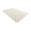 Tapis ivoire Oberlin