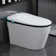 Modern luxury smart toilet with built-in bidet, water and drying function