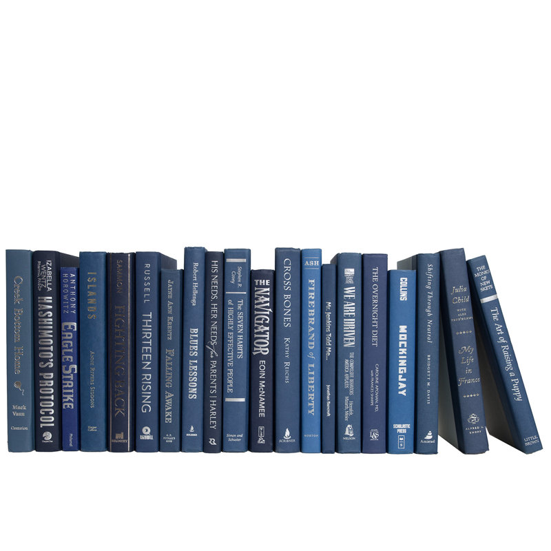 Decorative Books - Denim & Silver Books - Blue Books By The Foot