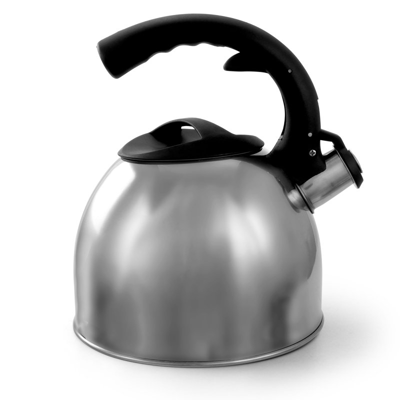 Mr. Coffee Stainless Steel Stovetop Kettle