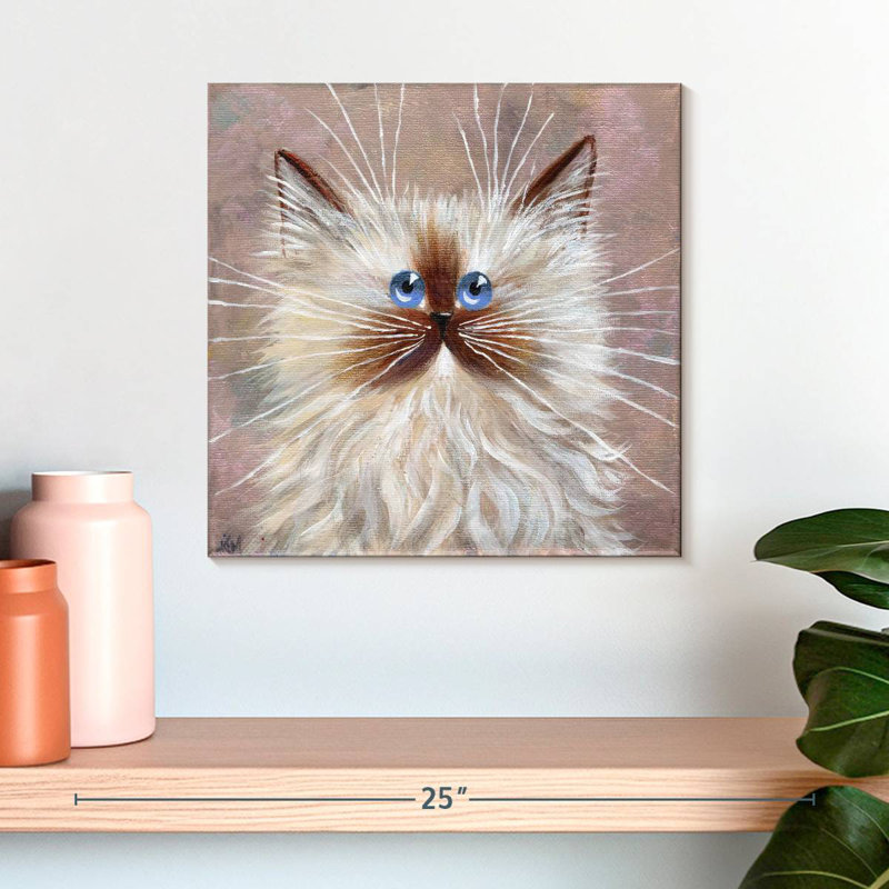 Chaton Brampt Seal Point, H 16 po x l 16 po