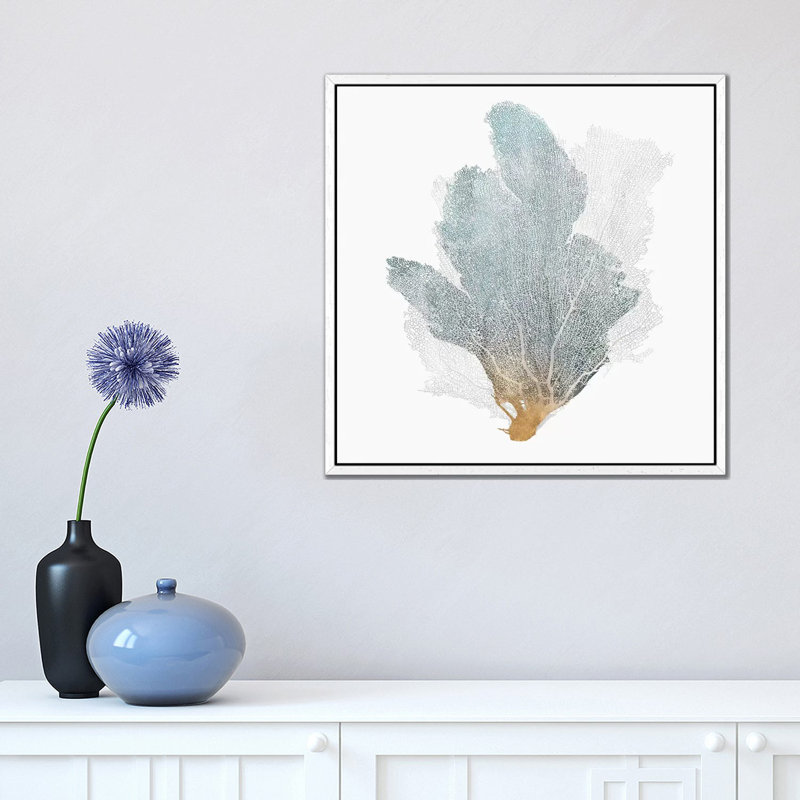 Delicate Coral II 1 Piece Wall Art on Canvas, 45.72 cm H x 45.72 cm W, White Framed