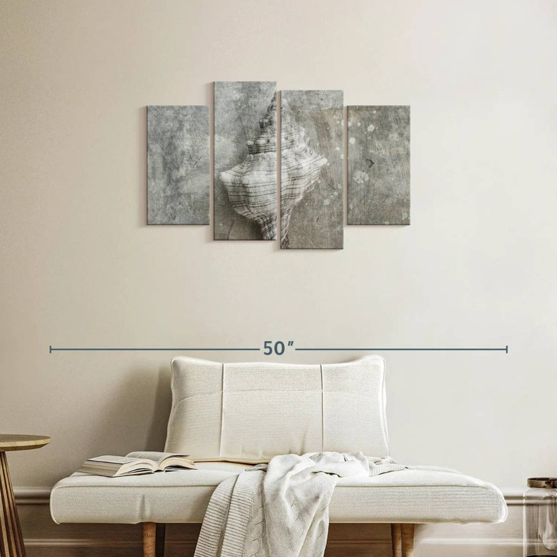 Conch Gray Seashell, 22" H x 36" W