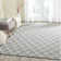 Griffin Geometric Wool Hand Woven Area Rug