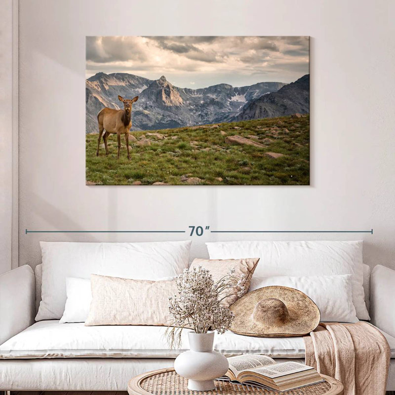 Brampt Rocky Mountain Elk, 30" H x 45" W