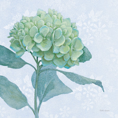 Hortensia bleu I clair
