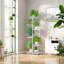 Plant Stand-1982208681