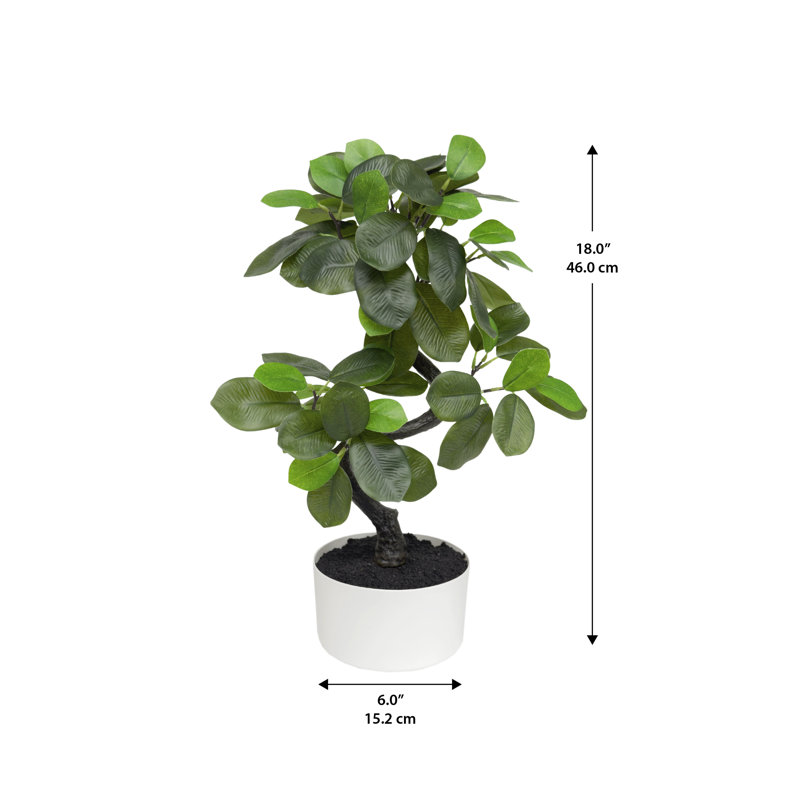 Jardinière décorative en ficus blanc 18 po Algreen