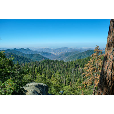 Parc national Sequoia I
