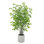 6' Artificial Fishtail Palm Tree in Pot