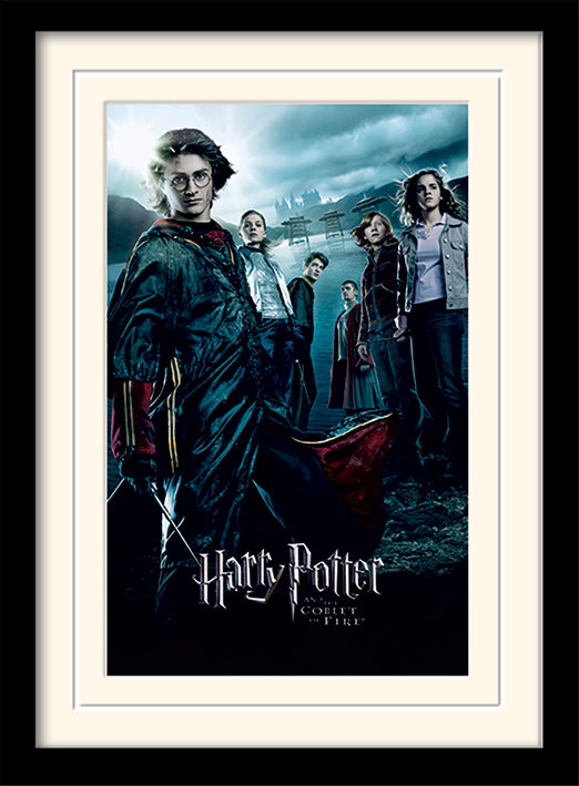 Single Picture Frame Print