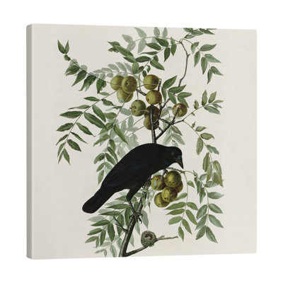 Toile tendue avec toile American Crow