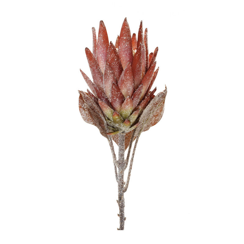 29" Orange and Green Artificial Protea Flower Stems Set