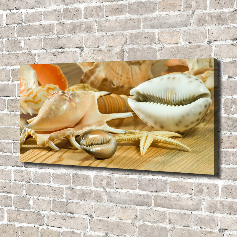 Shells On Wood - Wrapped Canvas Print
