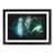 Black Framed selected