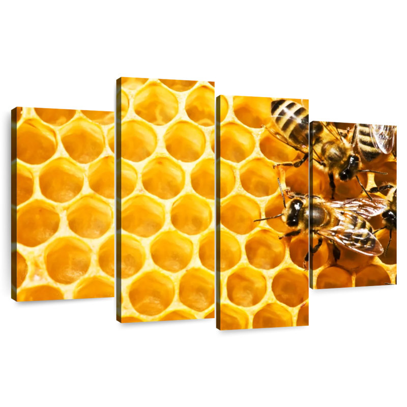 Brampt Honey Bee Hive, 22" H x 36" W