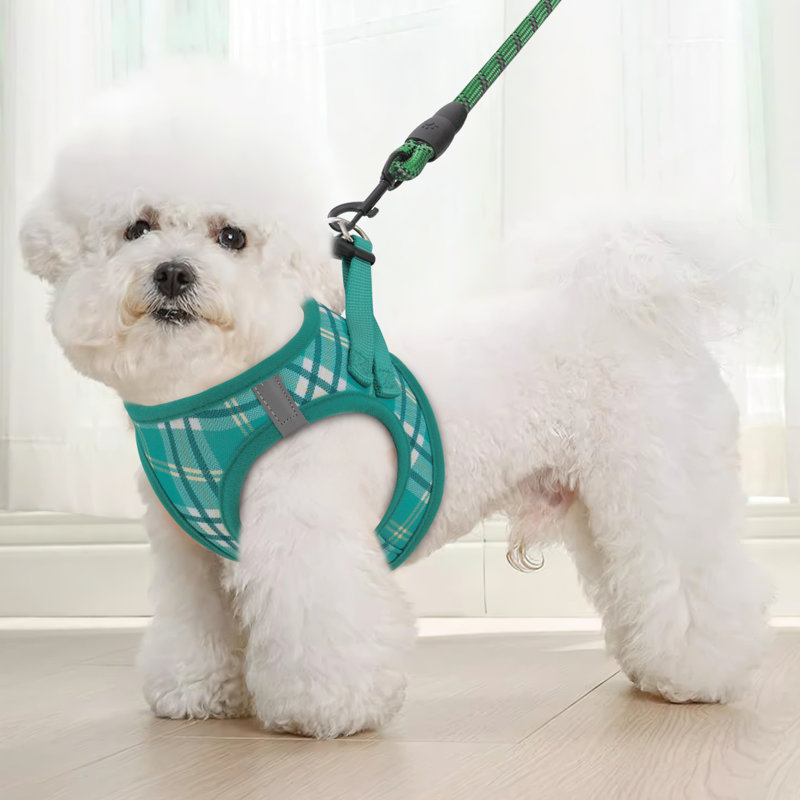 Ensemble de harnais et de laisse pour chien Mellal No-Pull Mesh, Vert gazon