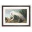 White Heron by John Audubon - Picture Frame Art Prints-55612906-55612905