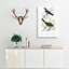 Bird Illustrations PL. 2a by Charles D Orbigny - Wrapped Canvas-55363711
