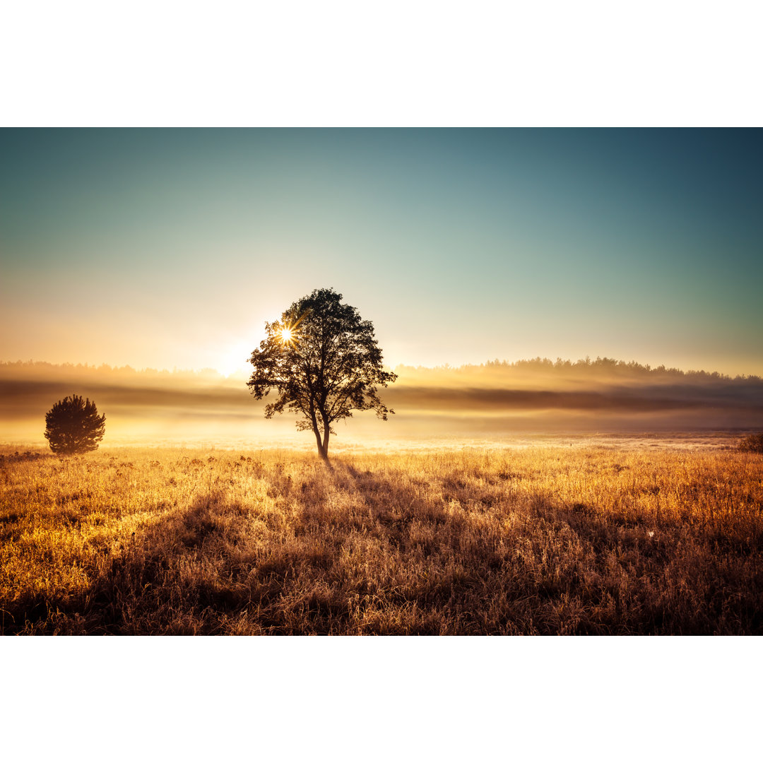 Neblige Sonnenuntergangslandschaft von Konradlew - Druck